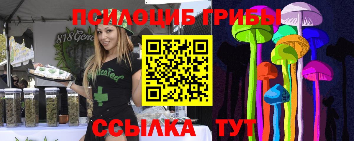 Галлюциногенные грибы GOLDEN TEACHER  цены   Псилоцибиновые грибы ЛСД  Кудымкар  Вход с VPN 