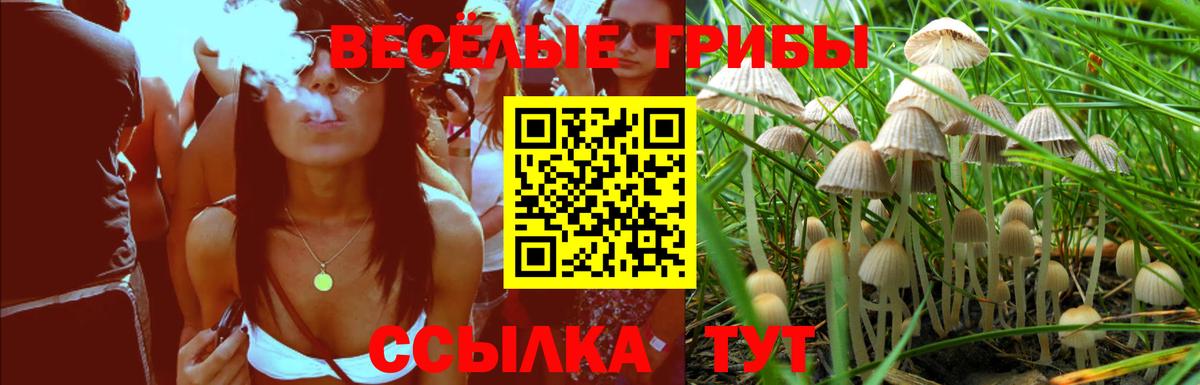 Галлюциногенные грибы мицелий Кудымкар